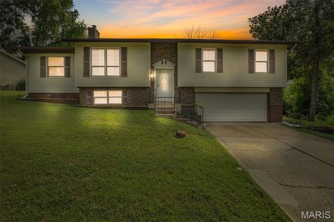 2110 Devonshire Drive Imperial MO 63052