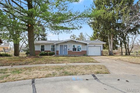 596 Haventree Drive Hazelwood MO 63042