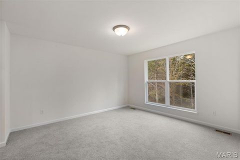 Tiny photo for 391 Butterfly Garden Lane, Wentzville, MO 63385 (MLS # 25069479)