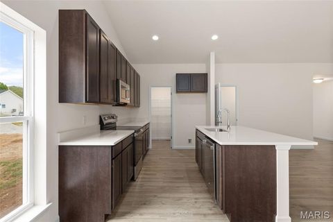 Tiny photo for 391 Butterfly Garden Lane, Wentzville, MO 63385 (MLS # 25069479)