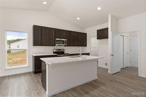 Tiny photo for 391 Butterfly Garden Lane, Wentzville, MO 63385 (MLS # 25069479)