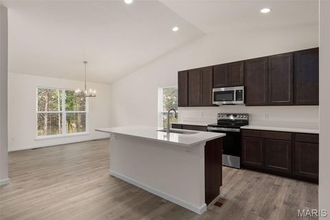 Tiny photo for 391 Butterfly Garden Lane, Wentzville, MO 63385 (MLS # 25069479)