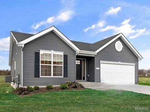Photo of 391 Butterfly Garden Lane, Wentzville, MO 63385 (MLS # 25069479)
