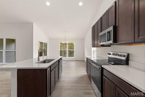 Tiny photo for 391 Butterfly Garden Lane, Wentzville, MO 63385 (MLS # 25069479)
