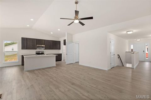 Tiny photo for 391 Butterfly Garden Lane, Wentzville, MO 63385 (MLS # 25069479)