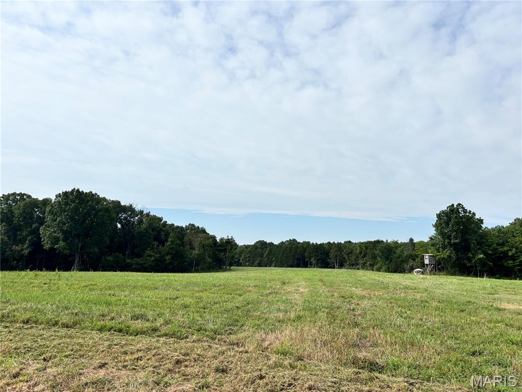 Springview Farms - Farm