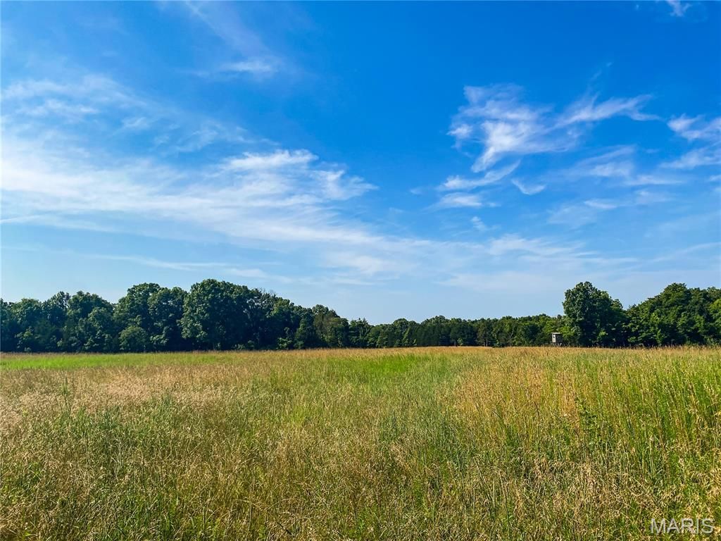 Photo of 6 Springview Farms, Marthasville, MO 63357 (MLS # 26027477)