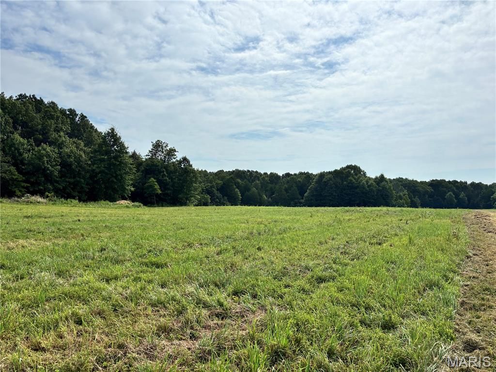 Photo of 6 Springview Farms, Marthasville, MO 63357 (MLS # 26027477)