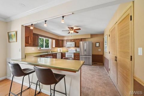 Tiny photo for 12995 Ambois Drive, Creve Coeur, MO 63141 (MLS # 26027727)