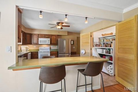 Tiny photo for 12995 Ambois Drive, Creve Coeur, MO 63141 (MLS # 26027727)