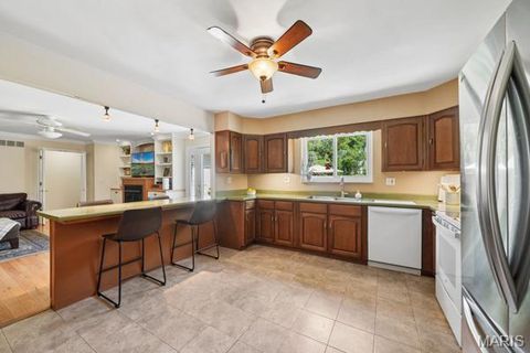 Tiny photo for 12995 Ambois Drive, Creve Coeur, MO 63141 (MLS # 26027727)