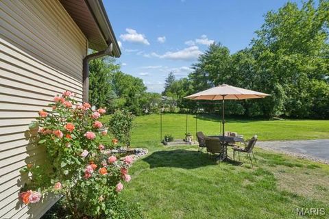 Tiny photo for 12995 Ambois Drive, Creve Coeur, MO 63141 (MLS # 26027727)