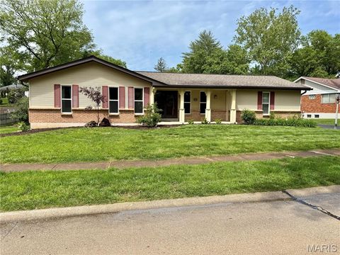 Photo of 12995 Ambois Drive, Creve Coeur, MO 63141 (MLS # 26027727)