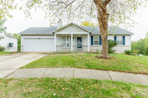 Photo of 11 Bryan Valley Court, OFallon, MO 63366 (MLS # 25073062)