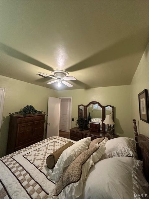 Tiny photo for 504 Virginia St ST, Sikeston, MO 63801 (MLS # 26030308)