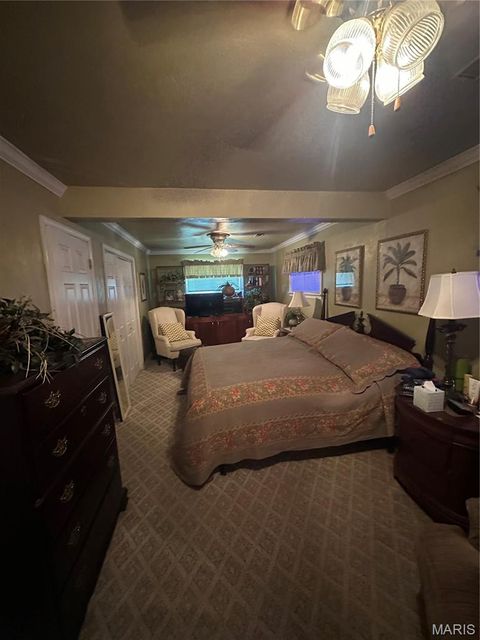 Tiny photo for 504 Virginia St ST, Sikeston, MO 63801 (MLS # 26030308)