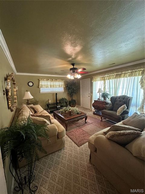 Tiny photo for 504 Virginia St ST, Sikeston, MO 63801 (MLS # 26030308)