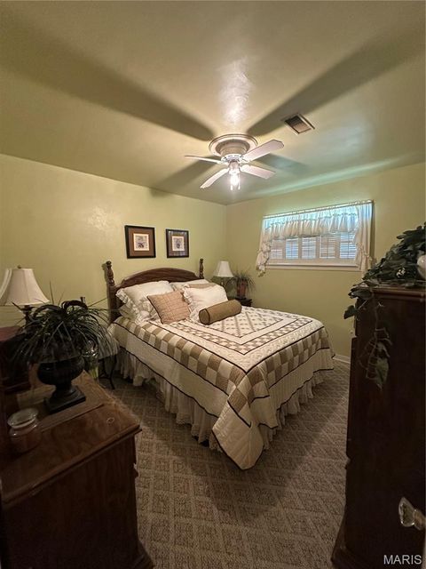 Tiny photo for 504 Virginia St ST, Sikeston, MO 63801 (MLS # 26030308)