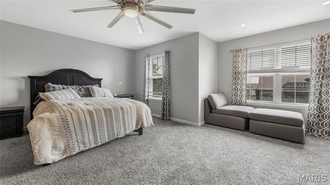 Tiny photo for 125 Pine Needle Drive, Wentzville, MO 63385 (MLS # 26002920)