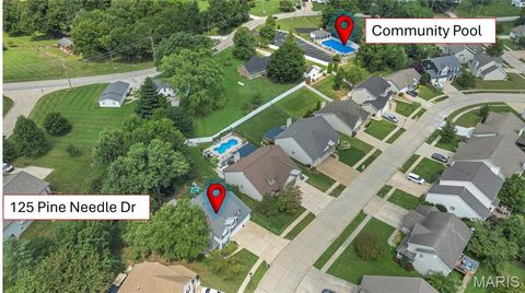 Tiny photo for 125 Pine Needle Drive, Wentzville, MO 63385 (MLS # 26002920)