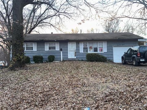 Photo of 29 Fenwick Drive, St Louis, MO 63135 (MLS # 26017121)