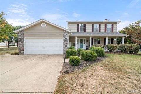 Photo of 57 Whitehaven Court, Unincorporated, MO 63304 (MLS # 25068337)