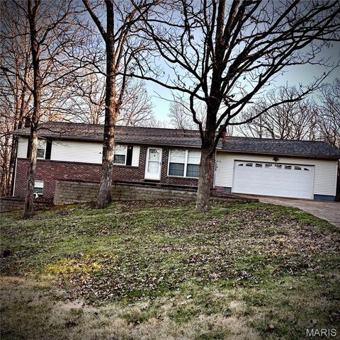 2214 Buck Creek Road Festus MO 63028