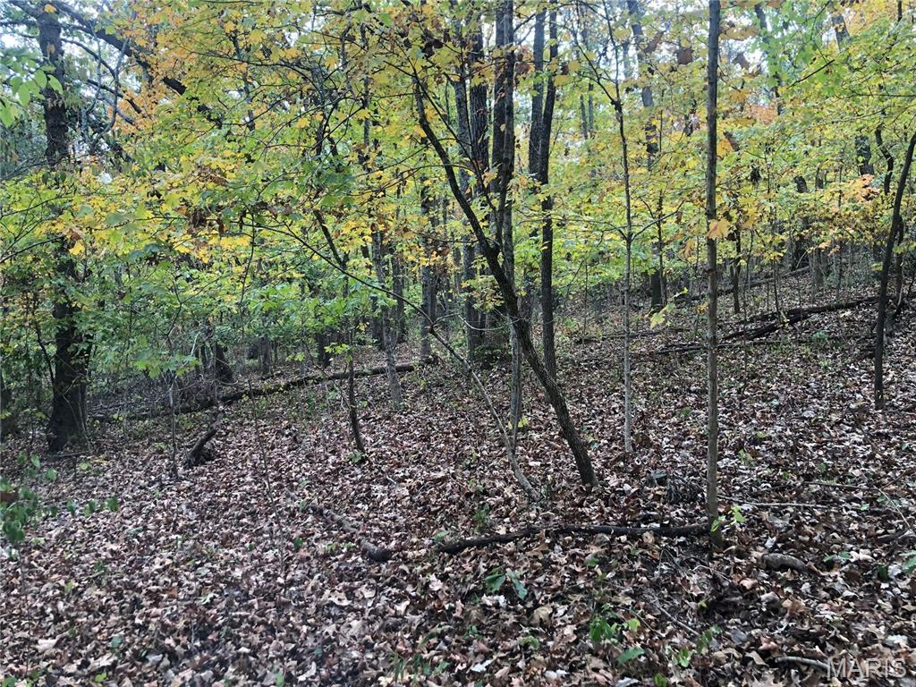 Hawk's Retreat - Land