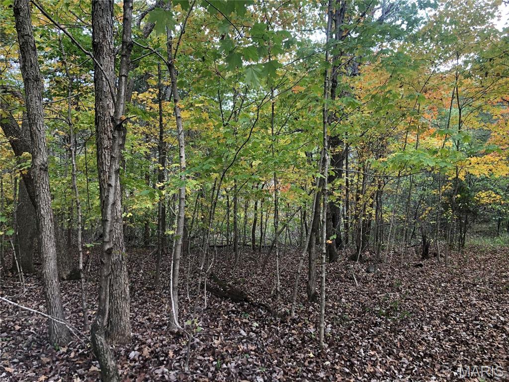 Hawk's Retreat - Land