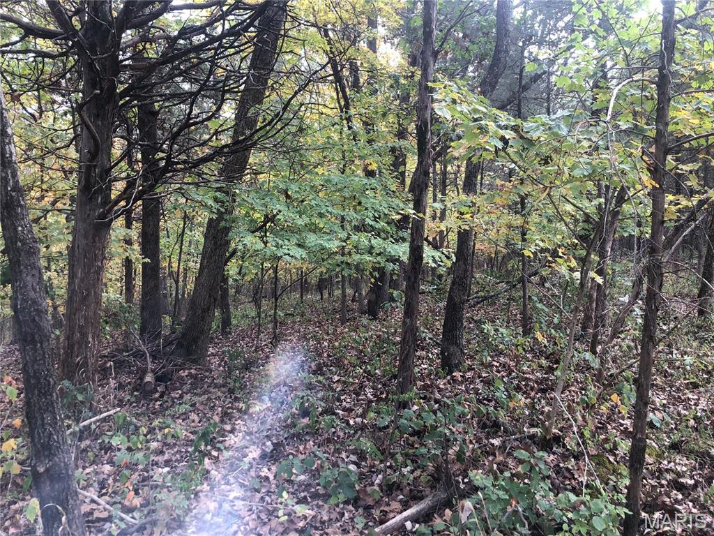 Hawk's Retreat - Land