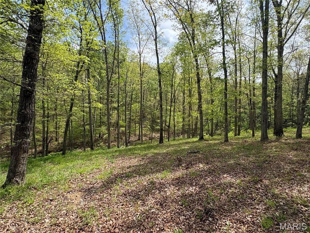 Photo of 10405 County Road 700, Centerville, MO 63633 (MLS # 26029017)