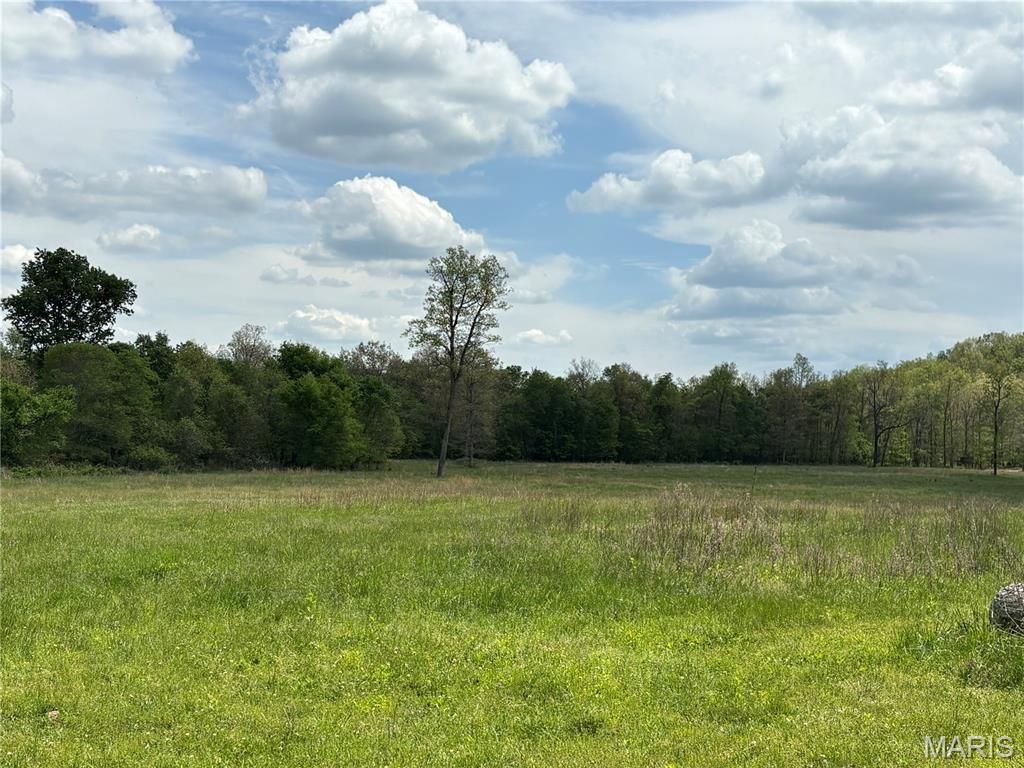 Photo of 10405 County Road 700, Centerville, MO 63633 (MLS # 26029017)