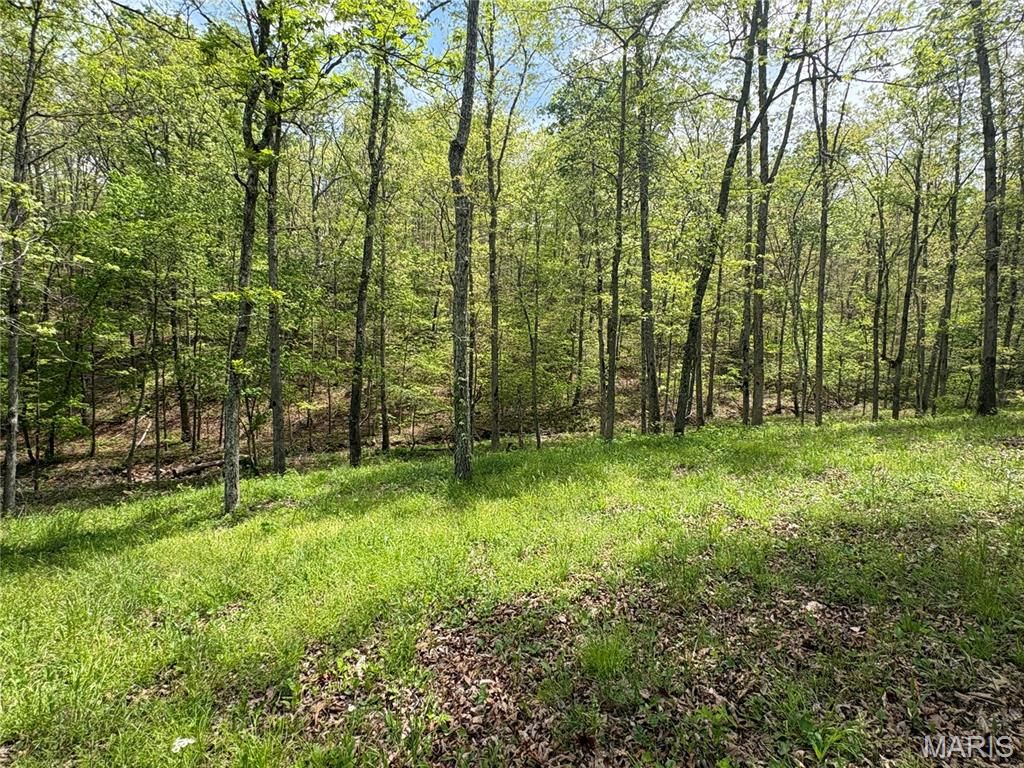 Photo of 10405 County Road 700, Centerville, MO 63633 (MLS # 26029017)