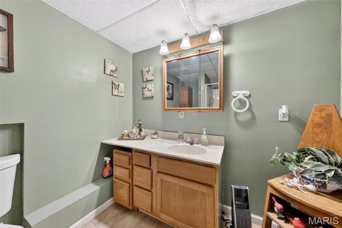 Tiny photo for 11 Fire Oak Court, Troy, MO 63379 (MLS # 26009907)