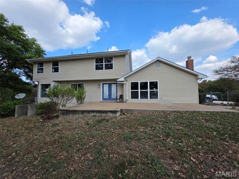 Tiny photo for 1891 4 Mile Road, Washington, MO 63090 (MLS # 25068097)