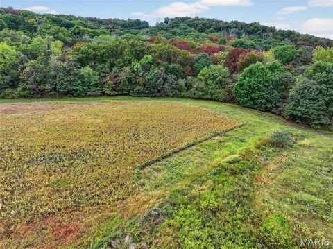 Tiny photo for 127 Circle Acres Drive, Marthasville, MO 63357 (MLS # 25065113)