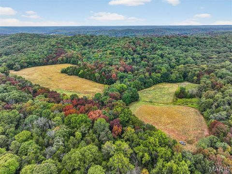 Photo of 127 Circle Acres Drive, Marthasville, MO 63357 (MLS # 25065113)