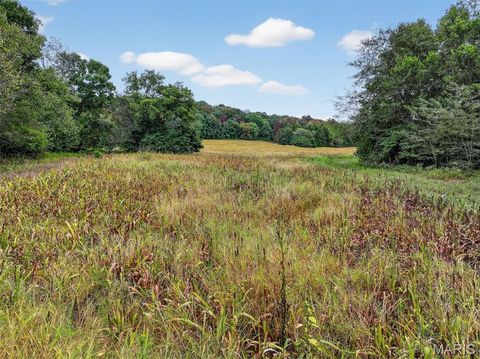 Tiny photo for 127 Circle Acres Drive, Marthasville, MO 63357 (MLS # 25065113)