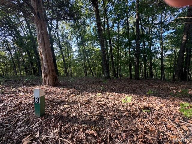120 Steeple Point Dr. Lot #13 Drive
