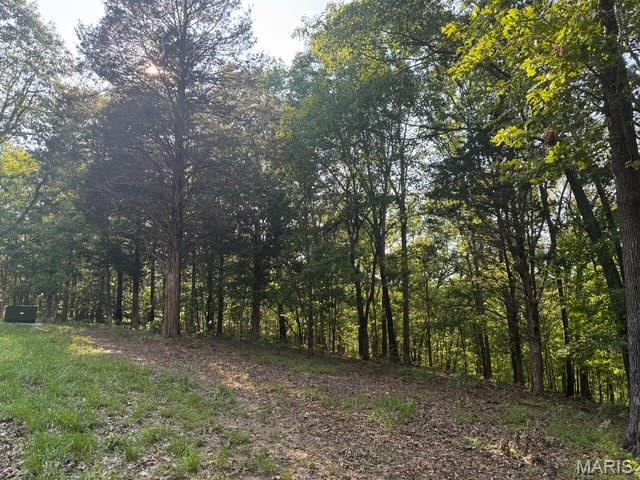 120 Steeple Point Dr. Lot #13 Drive
