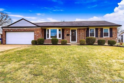 3832 Louis Street St Louis MO 63116