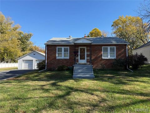 81 N Williams Street Cottage Hills IL 62018