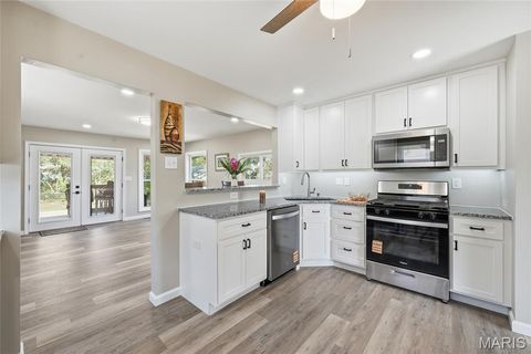 Tiny photo for 9825 Zykan Drive, St Louis, MO 63114 (MLS # 25069767)