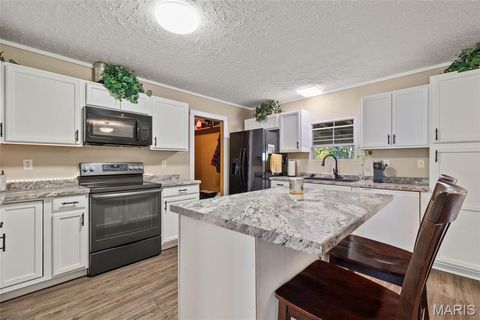 Tiny photo for 14725 Violet Drive, Lynchburg, MO 65543 (MLS # 25066629)