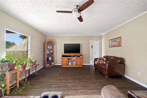 Tiny photo for 14725 Violet Drive, Lynchburg, MO 65543 (MLS # 25066629)