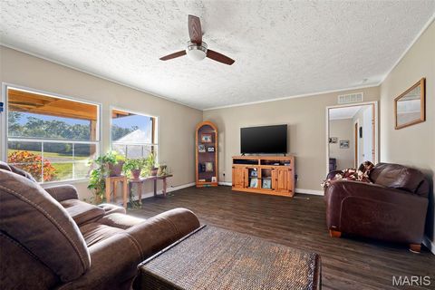 Tiny photo for 14725 Violet Drive, Lynchburg, MO 65543 (MLS # 25066629)