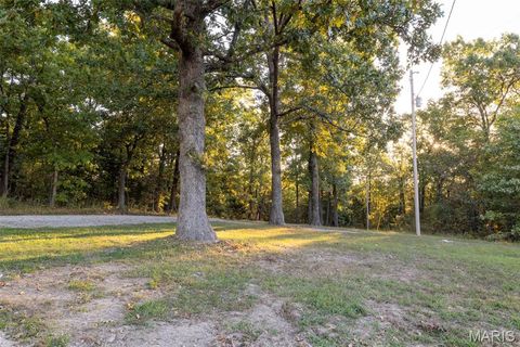 Tiny photo for 14725 Violet Drive, Lynchburg, MO 65543 (MLS # 25066629)