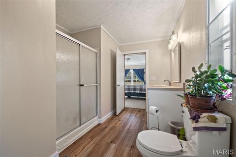 Tiny photo for 14725 Violet Drive, Lynchburg, MO 65543 (MLS # 25066629)