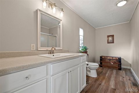 Tiny photo for 14725 Violet Drive, Lynchburg, MO 65543 (MLS # 25066629)