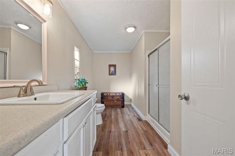 Tiny photo for 14725 Violet Drive, Lynchburg, MO 65543 (MLS # 25066629)